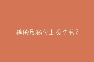 猫的后脑勺上有个包?-动物百科
