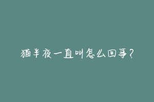 猫半夜一直叫怎么回事?-动物百科