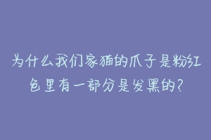 为什么我们家猫的爪子是粉红色里有一部分是发黑的?-动物百科
