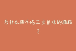 为什么猫不吃三文鱼味的猫粮?-动物百科
