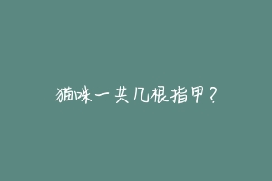 猫咪一共几根指甲?-动物百科