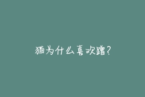 猫为什么喜欢蹭?-动物百科