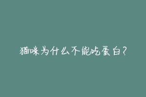 猫咪为什么不能吃蛋白？-动物百科