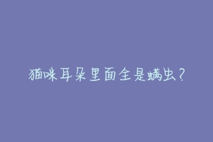 猫咪耳朵里面全是螨虫？-动物百科