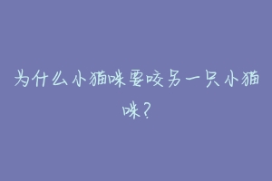 为什么小猫咪要咬另一只小猫咪?-动物百科