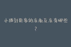 小猫到新家的应激反应有哪些?-动物百科