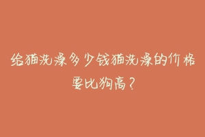 给猫洗澡多少钱猫洗澡的价格要比狗高?-动物百科