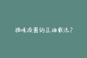 猫咪项圈的正确戴法?-动物百科