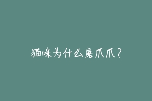 猫咪为什么磨爪爪?-动物百科