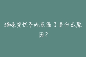 猫咪突然不吃东西了是什么原因？-动物百科