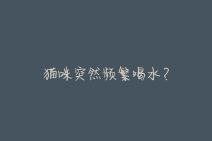 猫咪突然频繁喝水?-动物百科
