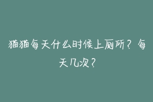 猫猫每天什么时候上厕所?每天几次?-动物百科