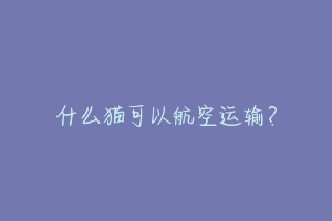 什么猫可以航空运输?-动物百科