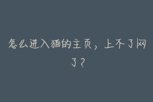 怎么进入猫的主页,上不了网了?-动物百科