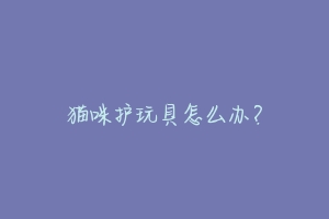 猫咪护玩具怎么办?-动物百科