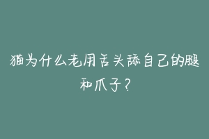 猫为什么老用舌头舔自己的腿和爪子?-动物百科