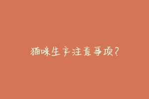 猫咪生产注意事项?-动物百科