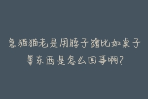 急猫猫老是用脖子蹭比如桌子等东西是怎么回事啊?-动物百科
