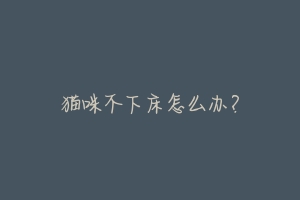 猫咪不下床怎么办?-动物百科