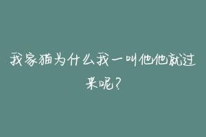 我家猫为什么我一叫他他就过来呢?-动物百科