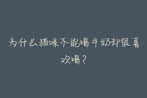 为什么猫咪不能喝牛奶却很喜欢喝?-动物百科