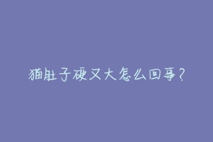 猫肚子硬又大怎么回事？-动物百科