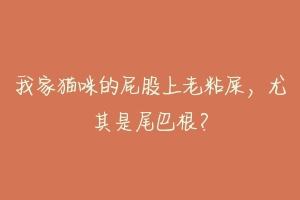 我家猫咪的屁股上老粘屎，尤其是尾巴根？-动物百科