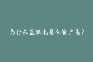 为什么蓝猫老是在窗户看？-动物百科