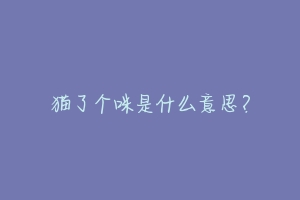 猫了个咪是什么意思？-动物百科