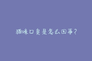 猫咪口臭是怎么回事？-动物百科