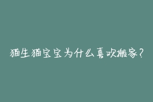 猫生猫宝宝为什么喜欢搬家？-动物百科