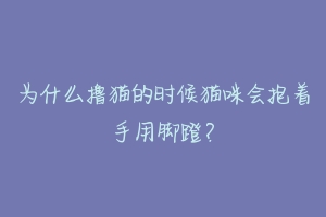 为什么撸猫的时候猫咪会抱着手用脚蹬？-动物百科