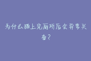 为什么猫上完厕所后会异常兴奋?-动物百科