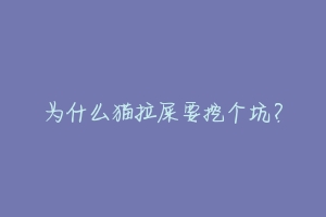为什么猫拉屎要挖个坑?-动物百科