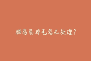 猫容易掉毛怎么处理?-动物百科