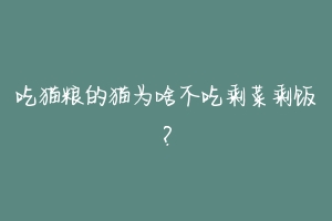 吃猫粮的猫为啥不吃剩菜剩饭?-动物百科