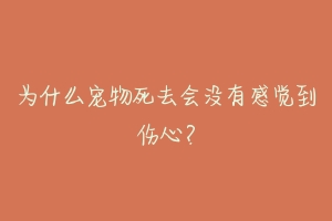 为什么宠物死去会没有感觉到伤心?-动物百科