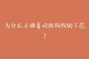 为什么小猫喜欢舔狗狗的下巴?-动物百科