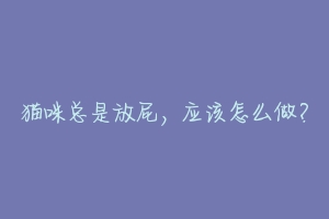猫咪总是放屁,应该怎么做?-动物百科