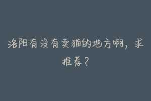 洛阳有没有卖猫的地方啊,求推荐?-动物百科