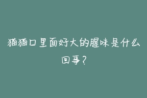 猫猫口里面好大的腥味是什么回事?-动物百科