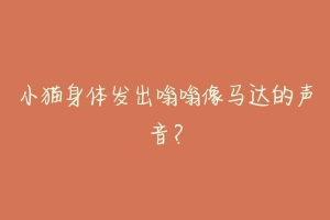 小猫身体发出嗡嗡像马达的声音?-动物百科