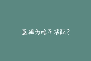 蓝猫为啥不活跃?-动物百科