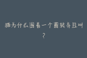 猫为什么围着一个圈转并且叫?-动物百科