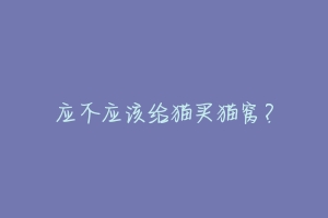 应不应该给猫买猫窝?-动物百科