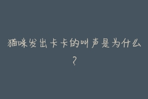 猫咪发出卡卡的叫声是为什么?-动物百科