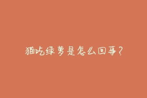 猫吃绿萝是怎么回事?-动物百科