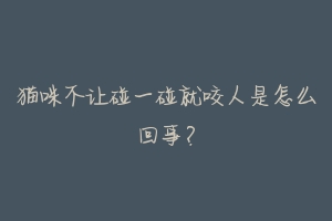 猫咪不让碰一碰就咬人是怎么回事?-动物百科