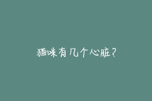 猫咪有几个心脏?-动物百科