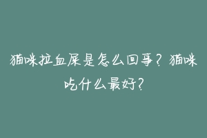 猫咪拉血屎是怎么回事?猫咪吃什么最好?-动物百科